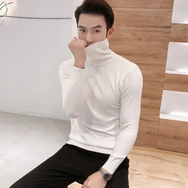 Men's Turtleneck Sweaters Sexy Knitted Pullovers