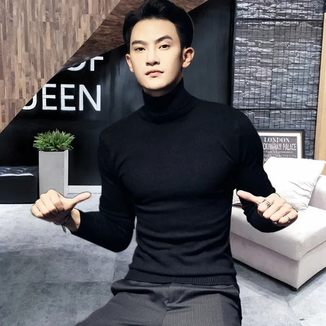 Men's Turtleneck Sweaters Sexy Knitted Pullovers