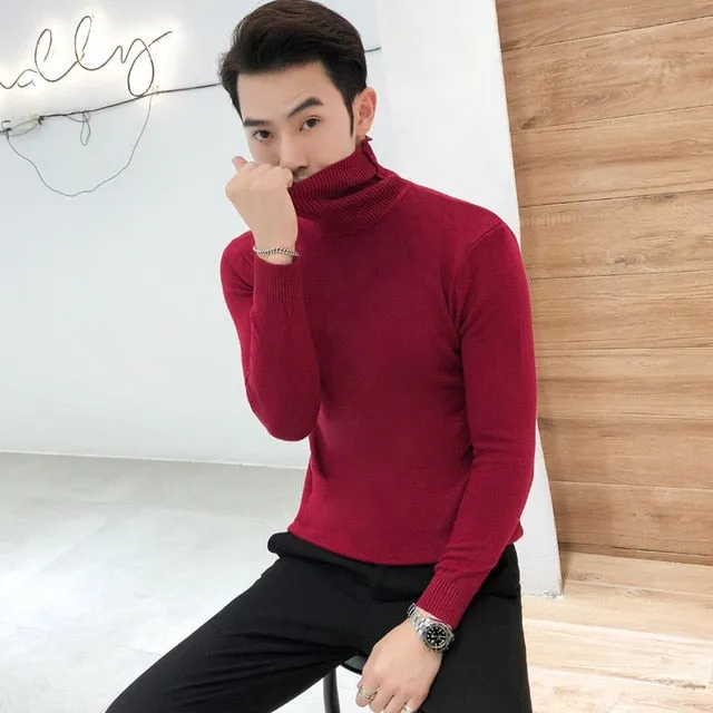 Men's Turtleneck Sweaters Sexy Knitted Pullovers